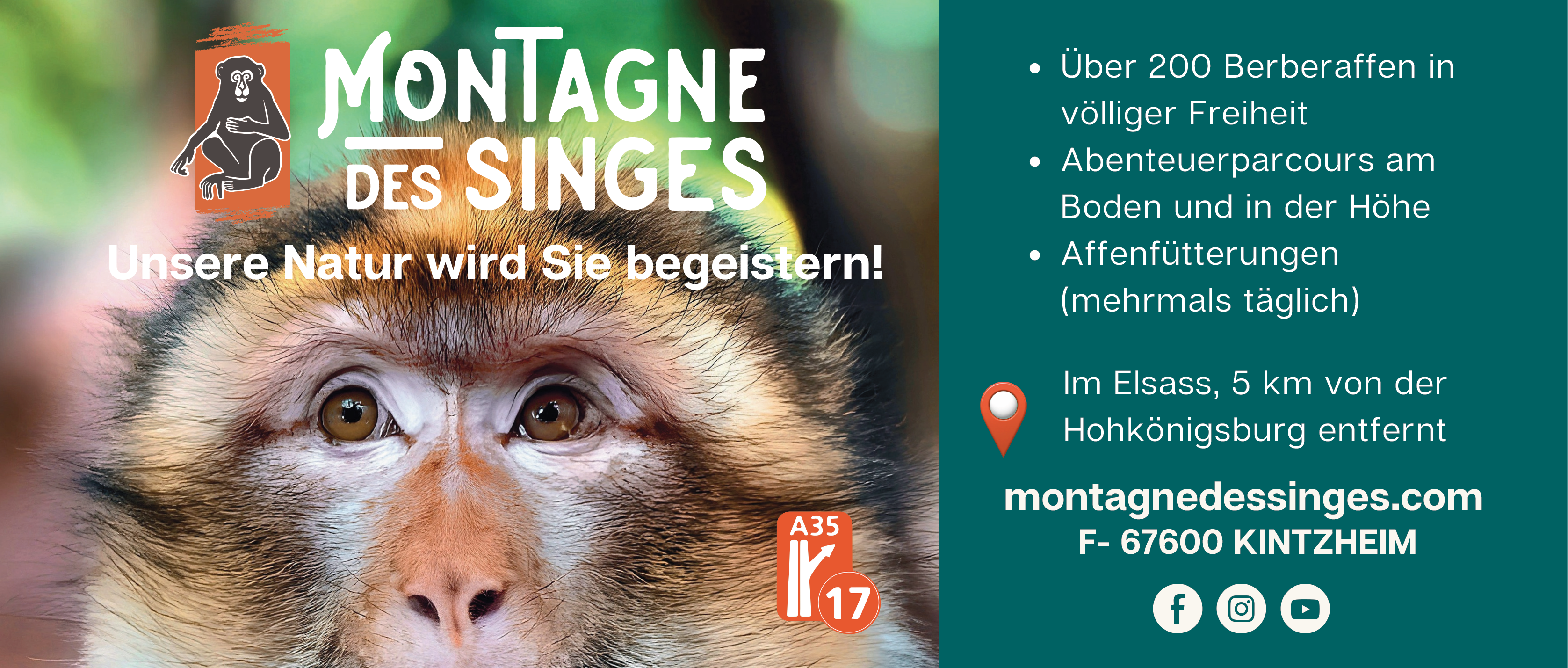 Montagne des Singes Kintzheim