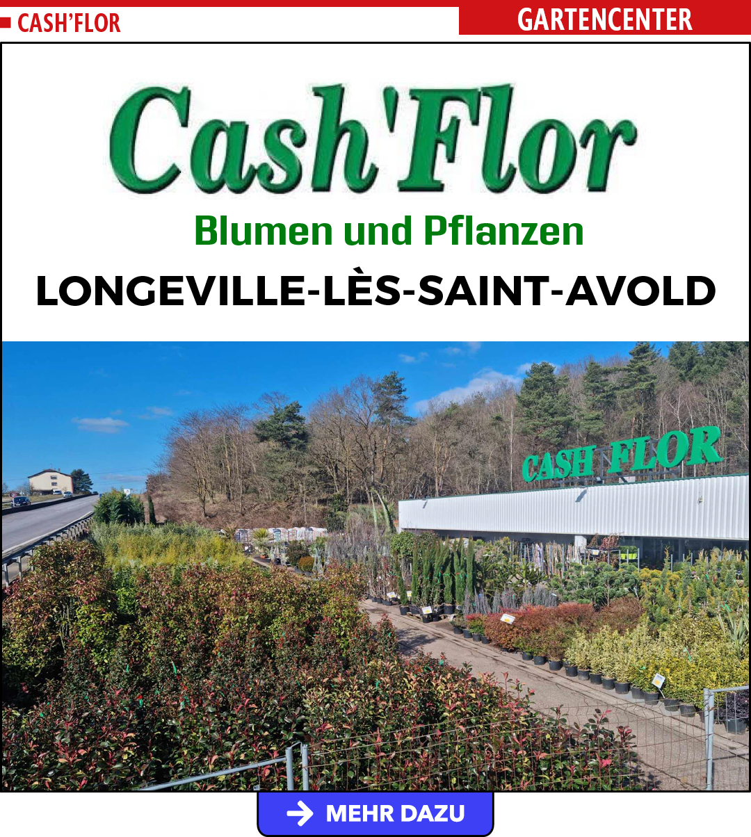 Cash Flor Longeville-lès-Saint-Avold