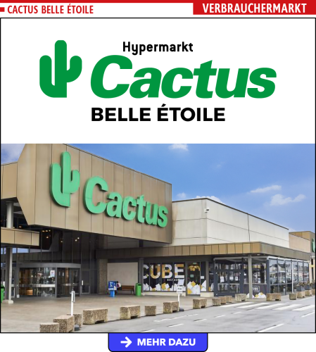 Cactus Belle-Etoile